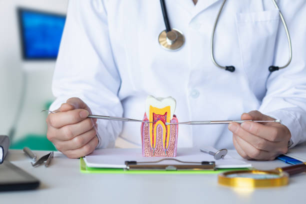 Best Knocked-Out Tooth (Avulsed Tooth) Treatment in Malden, MO